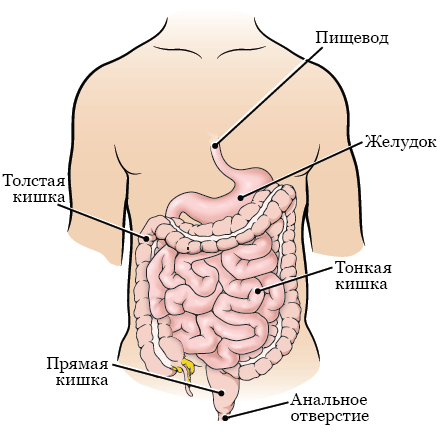 А вам слабо узнать фильм по кадру? Проверь себя!
