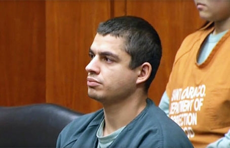 Калифорнийский живодер получил 16 лет тюрьмы за убийство 21 кошки