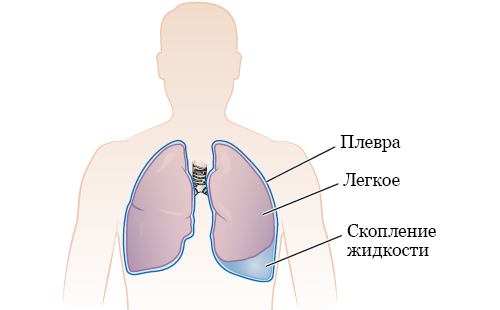 Кажется, что это просто рисунок, но смотри, что случилось через 30 секунд!
