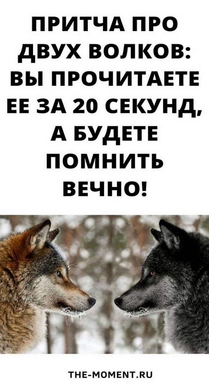 Притча про двух волков! Вы прочитаете это за 20 секунд, но будете помнить вечно!
