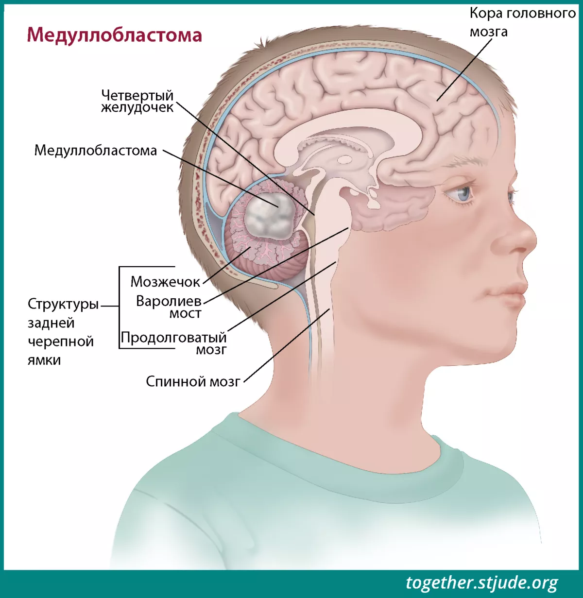 Тест на связь зрения и мозга